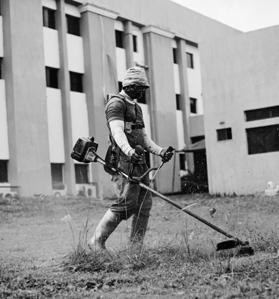 STIHL Trimmer – 2026 Trimmers and Brushcutters FS 131 R